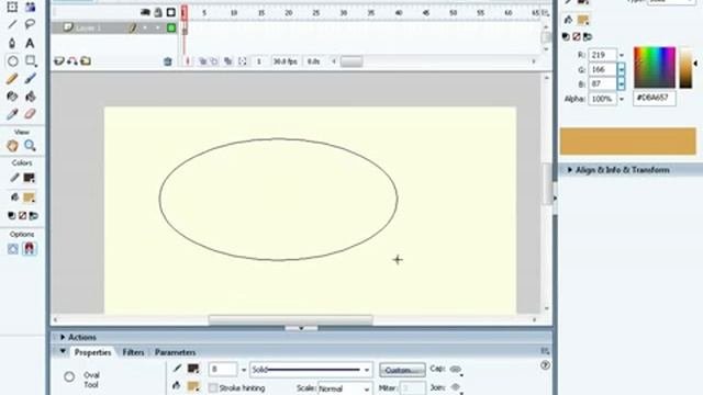Flash Lessons.flv