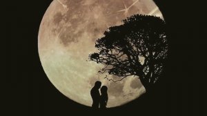 Dan Balan & Тина Кароль   Домой