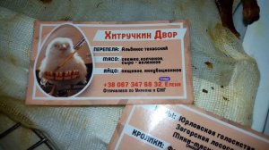 ВЯЛЕНЫЙ ПЕРЕПЕЛ. Редко встречающийся продукт