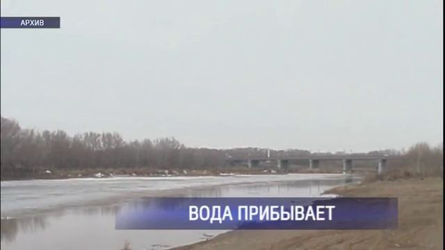 Уровень Урала у Оренбурга за сутки поднялся на метр смотреть онлайн