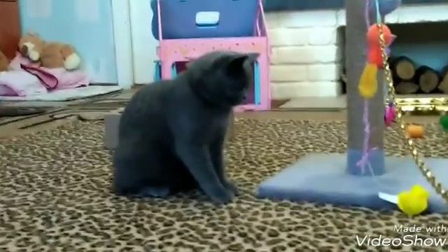 Играем с Нашей Няшой. Зажигаем калории смотреть онлайн