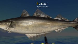 Русская рыбалка 4 Норвежское море