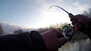 Ловля жереха на спиннинг весной на малой реке.