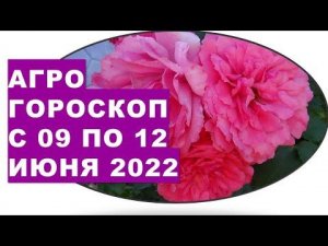 Агрогороскоп с 09 по 12 июня 2022 года