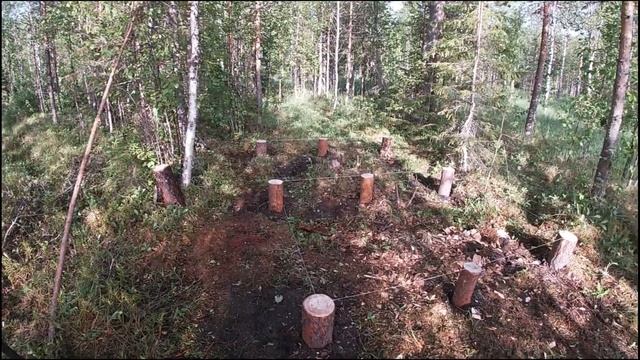 День 3. Серия 2. Обнаружили цветок, занесённый в красную книгу. Создали болотный огород. смотреть онлайн