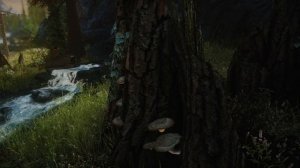 SKYRIM 2020 With Parallax by Pfuscher - AMBIENT OF TAMRIEL