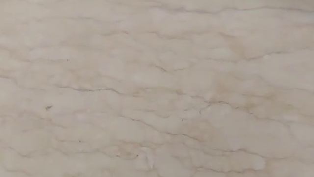 ЗООПОКУПКИ ЗА АПРЕЛЬ // Что мы купили?! // Обзор зоопокупок // Tin i Tinka club смотреть онлайн