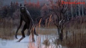 Страшная История - Оборотень на трассе