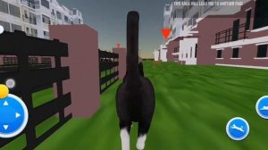 Virtual Cat Animal Simulator | gameplay | iOS, Android