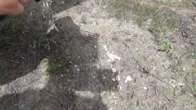 #ЗОЛОТО! БРИЛЛИАНТЫ! УКРАШЕНИЯ! МОНЕТЫ! КЛАД СДЕЛАЛ МЕНЯ БОГАТЫМ! смотреть онлайн