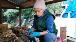 Рассказала всё как есть// Откуда такие уверенные//