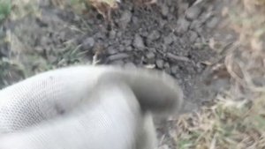 Коп с китайским ТХ 850. ТХ-850 находит даже там где уже все выбито!