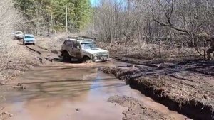 Нива на сафари 530