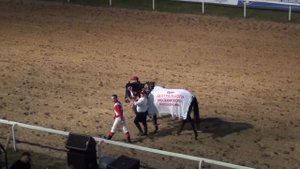 Московский ипподром. Скачки. 01.07.13. Скачка 6(31). ПРИЗ ЦМИ