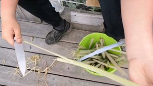 Как заготовить лопух на зиму или на длительное хранение
