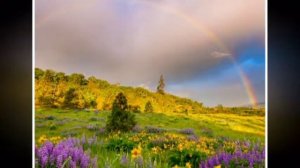 А Я НЕ ХОЧУ ЧЕТЫРЕ СТЕНЫ