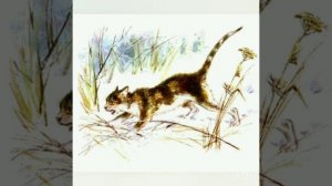 Проект "Почитай ребенку книгу" Е.И.Чарушин "Кошка Маруська"