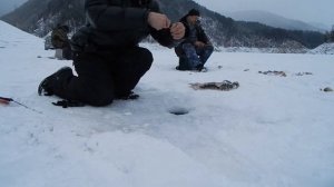 Зимняя рыбалка на Саяно-Шушенском водохранилище. 02. 2016г.