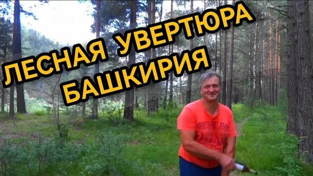 Лесная увертюра. Река Белая Башкирия 2021