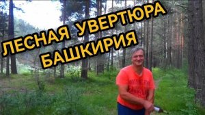 Лесная увертюра. Река Белая Башкирия 2021