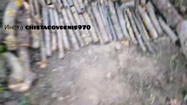 Нашёл грибы:шампиньоны-лесные. смотреть онлайн