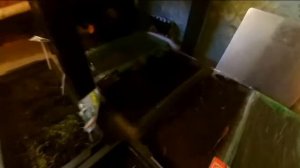 Теплица в подвале гаража. видео 5