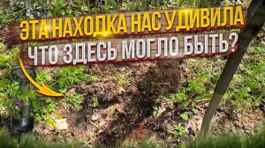Эта находка нас удивила. Что здесь могло быть?