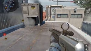 чёрный дельфин