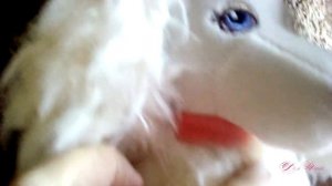 Обзор / Собаки Orange Toys / Киндерама