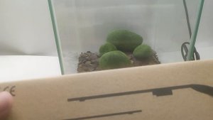 Светодиодный светильник для аквариума Barbus LED 080, 7 Вт, 3 режима