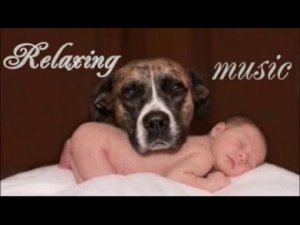 relaxing music расслабляющая музыка для отдыха и сна.