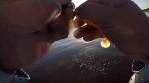 Рыбалка в Астрахани 2018. Часть 1. Судак!