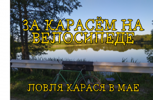 На велосипеде за карасём. Ловля карася в мае.