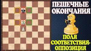 Шахматы. Учебник эндшпиля №2. Пешечные окончания. Поля соответствия - Оппозиция