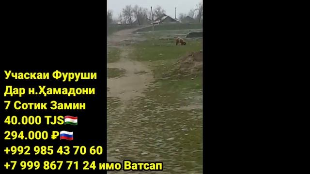 Хонахои Фуруши Арзон! (02.01.2023) Аз 15.000 сомони дар Душанбе, Хучанд, Бохтар ва гайра! САВДО ТЧ