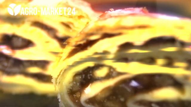 Самые ВКУСНЫЕ СОРТА ГРУШИ. Какие сорта хорошо хранятся? заказать саженцы от Агро-маркет24 смотреть онлайн