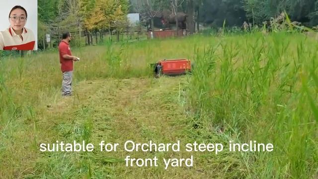 магутны бензінавы рухавік, бесщеточный хадзячы рухавік з дыстанцыйным кіраваннем смотреть онлайн