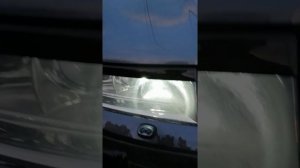 Реснички на октавия тур