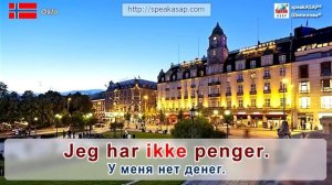 Урок 2. Норвежский язык за 7 уроков для начинающих. Спряжение глагола ha (иметь). Елена Шипилова.