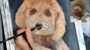 How to paint a poodle/ Pet Portrait / Painting a Dog In Oil Paint ~   #PetPortrait  #OilPainting