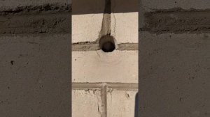 Утепление стен Пеноизол, жидкий пенопласт, отзывы Яготин