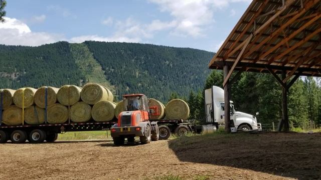 Обзор работы фронтального телескопического погрузчика Everun ER2500 на разгрузке сена