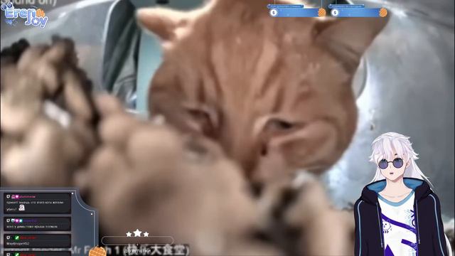 ГРУСТНЫЙ ХОМЯК😢 — ОТКУДА МЕМ? и КОТ СМОТРИТ — ОТКУДА МЕМ? I РЕАКЦИЯ НА небуди смотреть онлайн