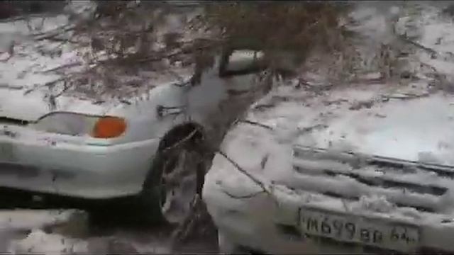 23. Упавшее дерево на пролетарской 19а смотреть онлайн