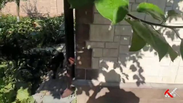 ДЕКОРАТИВНЫЕ КАМНИ - РАВЕЛИН И ЦИТАДЕЛЬ! смотреть онлайн