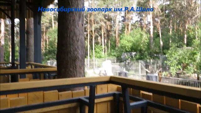 Теперь львов можно посмотреть с высоты 03.06.2021 смотреть онлайн