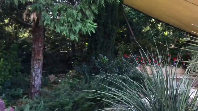 Продам дизайнерский дом! смотреть онлайн