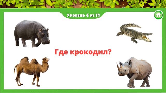 Животные Африки???????. Малыш учит. Играем вместе. Игрушки и игры с детьми. смотреть онлайн