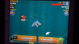 АКУЛА - ОБОРОТЕНЬ (Wereshark) - Hungry Shark Evolution - ОБЗОР СПЕЦИАЛЬНОЙ АКУЛЫ