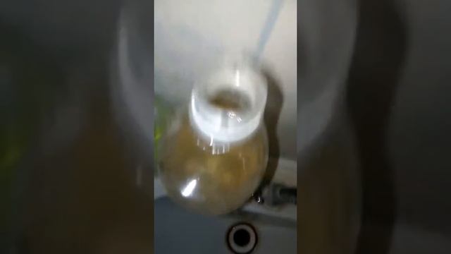 Девочки подсматривают за мальчиками в .......загадка смотреть онлайн